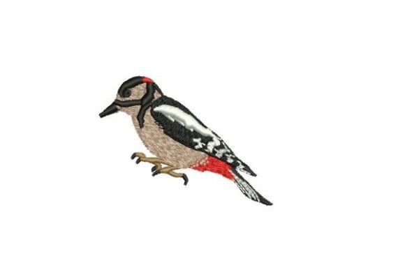 Reviewing the Great Spotted Wood Pecker Design