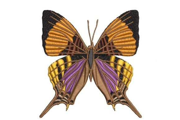 Reviewing the Marpesia Butterfly Embroidery Design